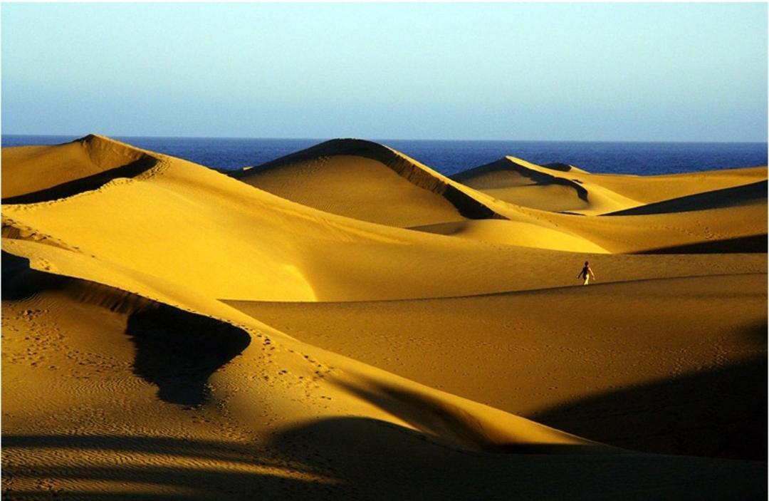 Acogedor Octavo Hábitat Maspalomas (Gran Canaria) Exterior foto